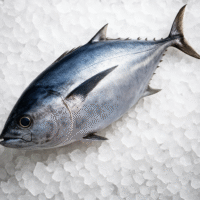 Tuna Fish 1kg