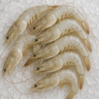 prawns 1kg