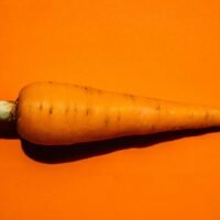 Carrot